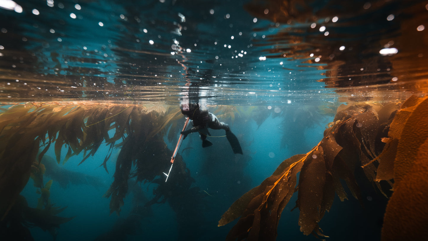 Class - Spearfishing