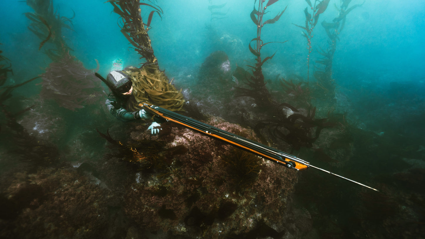 Class - Spearfishing