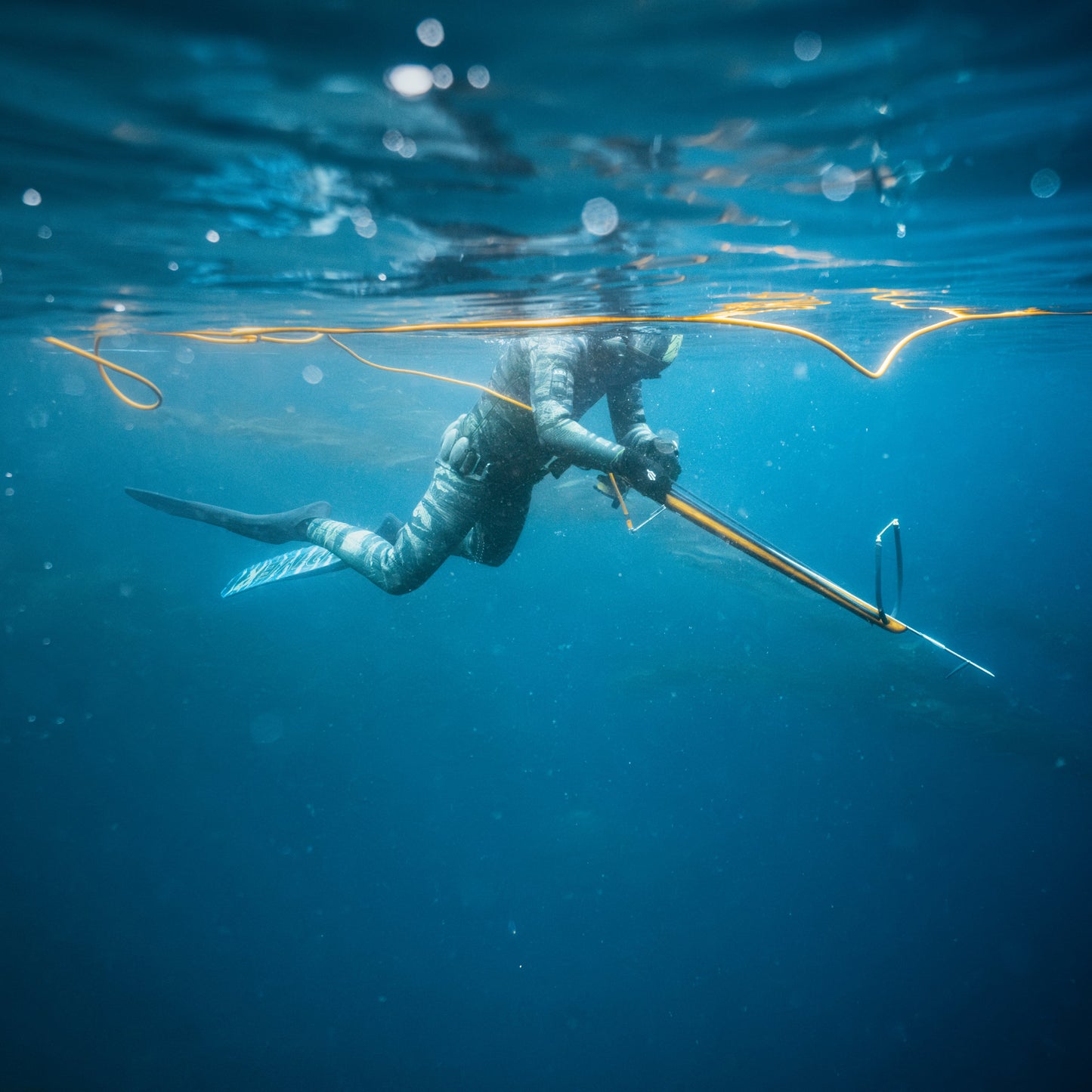 Class - Spearfishing