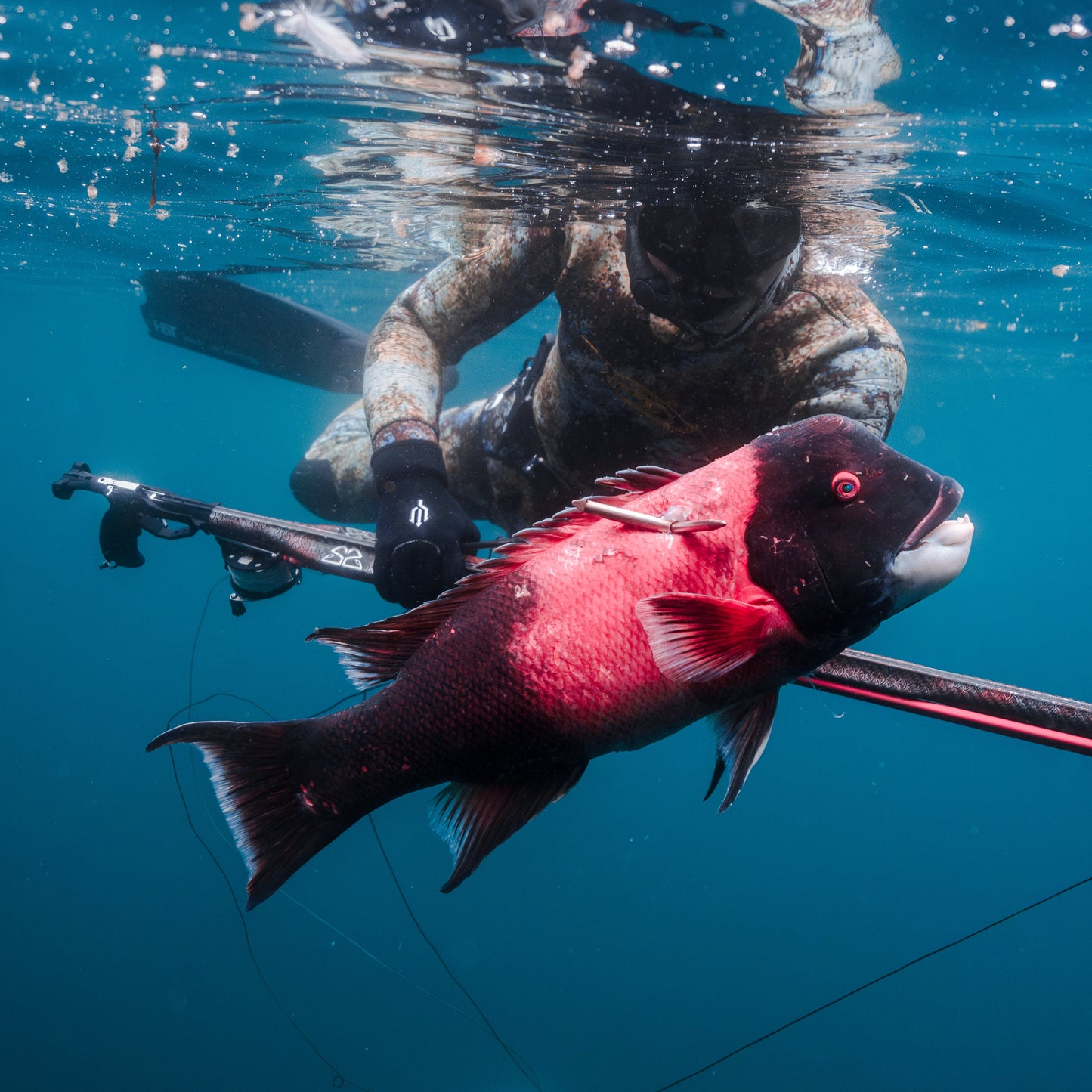 Class - Spearfishing